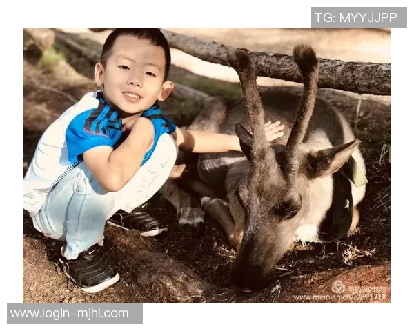 2026电竞新闻与刘丽畅谈她的CSGO职业生涯与成长历程的精彩对话